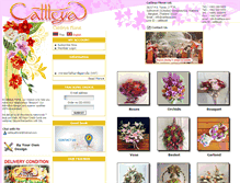 Tablet Screenshot of cattleya.com
